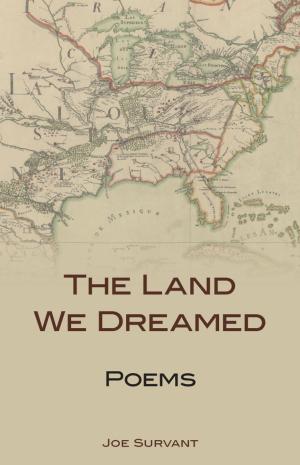 Cover of the book The Land We Dreamed by Lamar Herrin