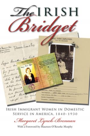 Book cover of The Irish Bridget