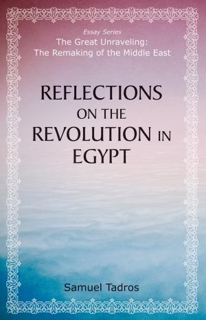 Cover of the book Reflections on the Revolution in Egypt by Peter Berkowitz