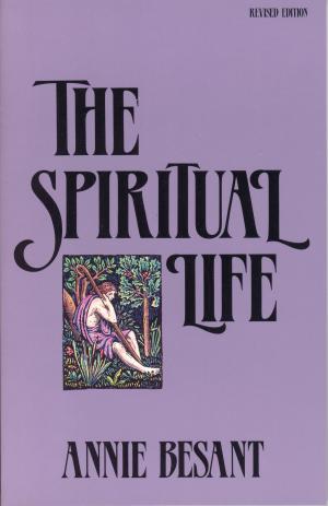 Cover of the book The Spiritual Life by Rev. Dr. Stephen Poos-Benson