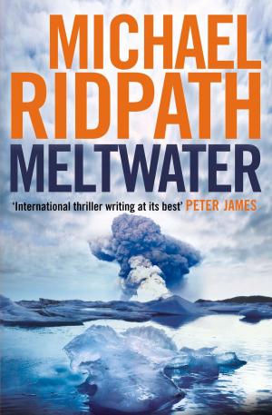Cover of the book Meltwater by Fergus Fleming