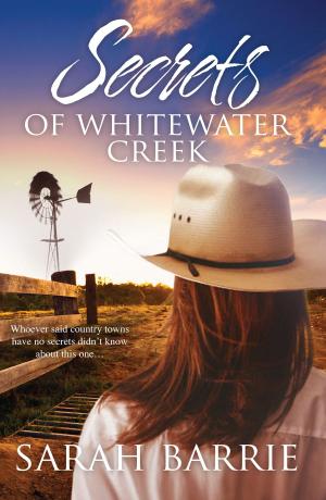 Book cover of Secrets Of Whitewater Creek