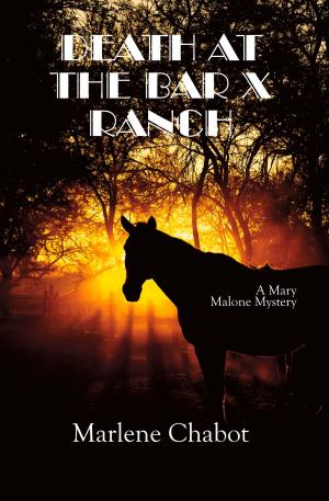 Cover of the book Death at the Bar X Ranch by Kristin Lee Johnson
