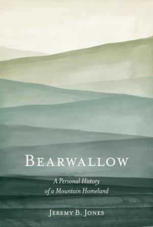 Cover of the book Bearwallow by Mimi Swartz