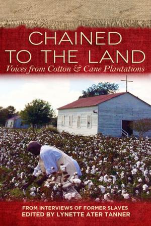 Cover of the book Chained to the Land by Daniel W. Barefoot