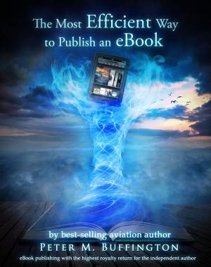 Book cover of The Most Efficient Way to Publish an eBook