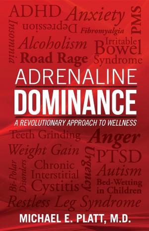 Cover of the book Adrenaline Dominance by Philip Mandel