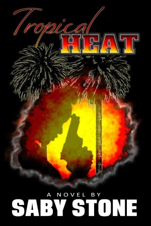 Cover of the book Tropical Heat by Asa Larsson
