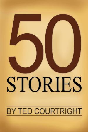 Cover of the book 50 Stories by Janet Elizabeth Lynn, Will Zeilinger