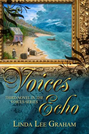 Cover of the book Voices Echo by Brooklyn Ann