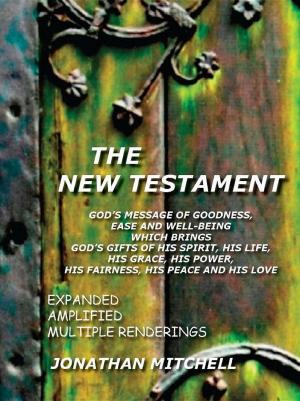 Cover of the book The New Testament by Uzodinma Iweala
