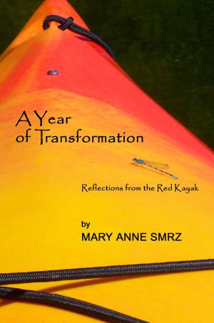 Book cover of A Year of Transformation