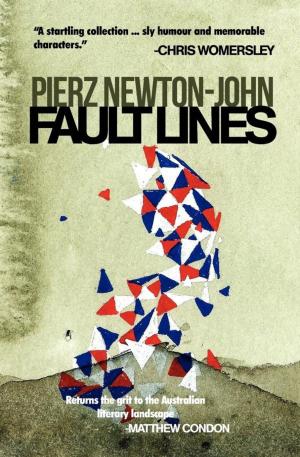Cover of the book Fault Lines by Sue Goldstiver