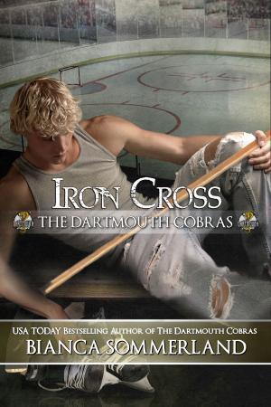 Cover of the book Iron Cross by Dani Jace