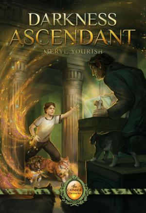 Cover of the book Darkness Ascendant by Nina Bangs