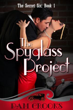 Cover of the book The Spyglass Project by Jed Stone