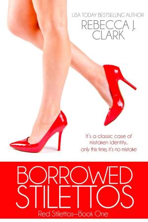 Book cover of Borrowed Stilettos