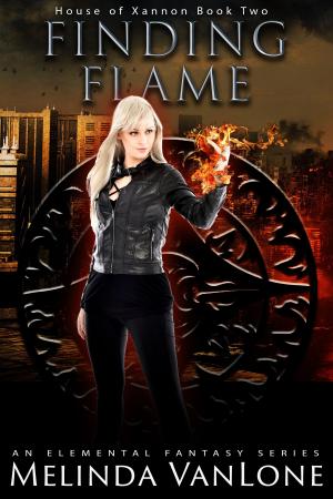 Book cover of Finding Flame