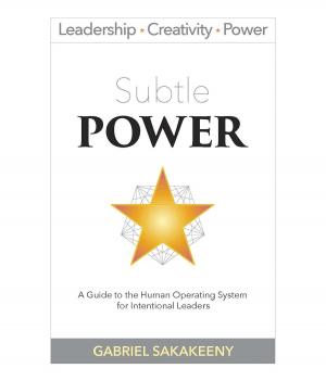 Cover of the book Subtle POWER by Richard Cadena