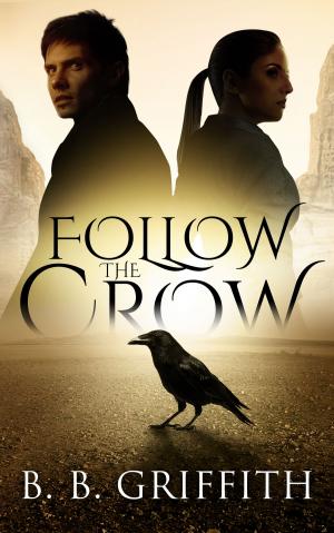 Cover of Follow the Crow (Vanished, #1)