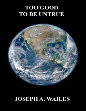 Cover of the book Too Good to Be Untrue by Oscar A McCarthy