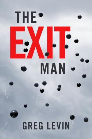 Book cover of The Exit Man