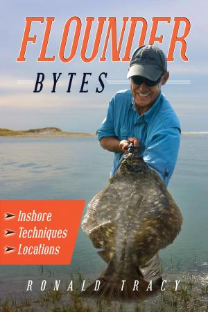 bigCover of the book Flounder Bytes by 