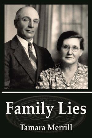 Cover of the book Family Lies by Kate Allison
