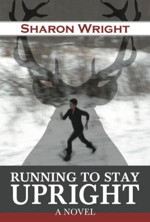 Book cover of Running to Stay Upright