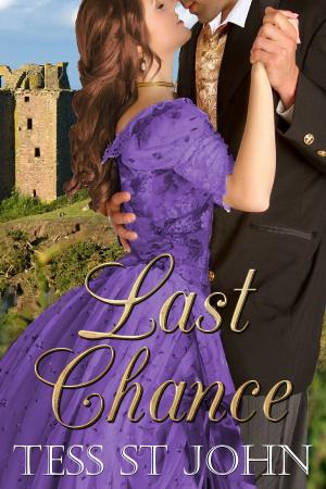 Cover of Last Chance (Chances Are Series ~ Book 3)