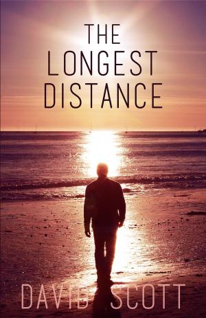 Book cover of The Longest Distance