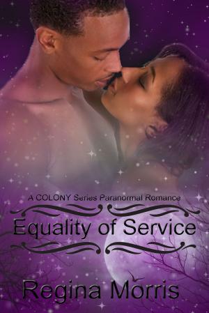 Book cover of Equalilty of Service