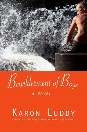 Book cover of Bewilderment of Boys