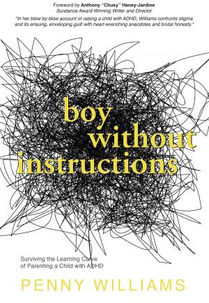 Cover of the book Boy Without Instructions by Candee Fick