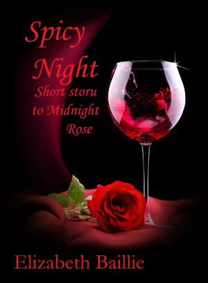 Cover of the book Spicy Night by JC Rivendale