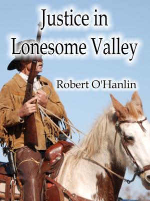 Book cover of Justice in Lonesome Valley