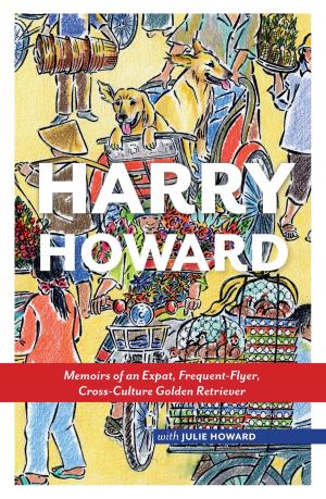 Cover of the book HARRY HOWARD by Andrea Bizzocchi