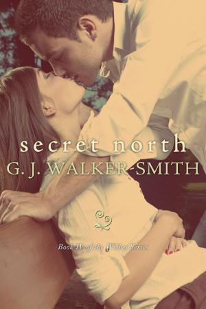 Book cover of Secret North