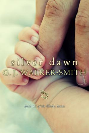 Book cover of Silver Dawn