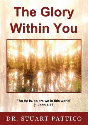 Book cover of The Glory Within You