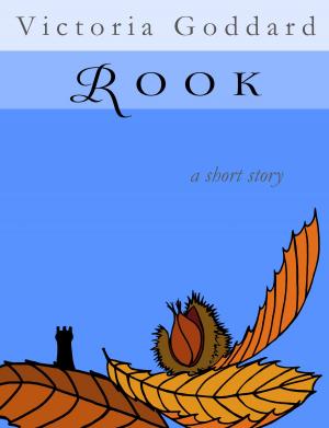 Cover of the book Rook by Rhys Hughes