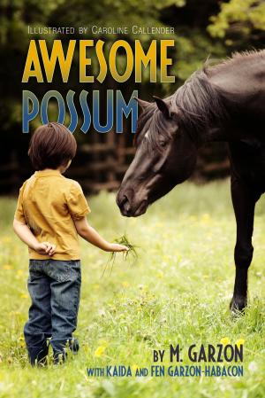 Cover of the book Awesome Possum by Ellen F. Feld