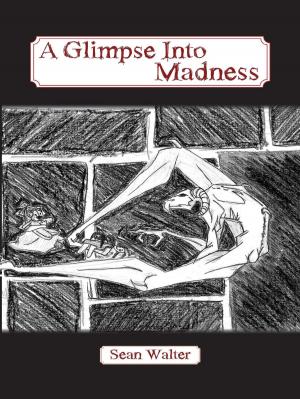 Cover of the book A Glimpse Into Madness by Tom Stern