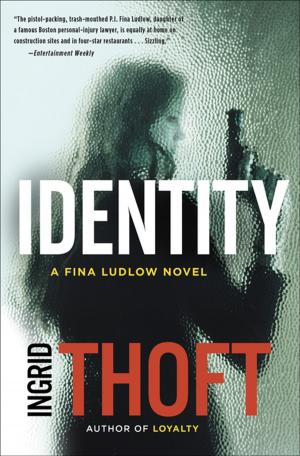 Cover of the book Identity by Robert B. Parker