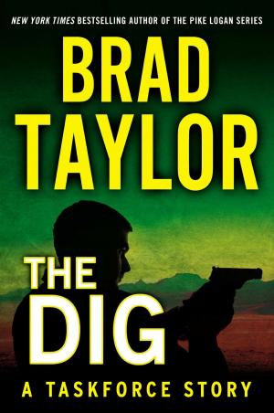 Cover of the book The Dig by Meg Gardiner