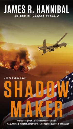 Cover of the book Shadow Maker by Richard Picciotto, Daniel Paisner
