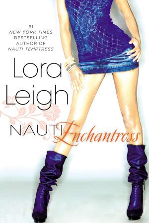 Cover of the book Nauti Enchantress by Ann Aguirre