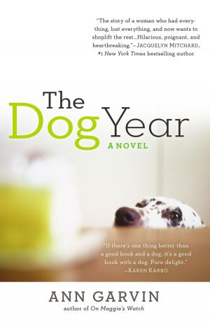 Cover of the book The Dog Year by Laura Hawks