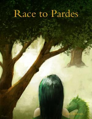 Cover of the book Race to Pardes by Tina Long