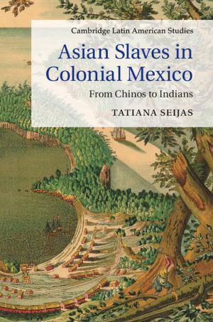 Book cover of Asian Slaves in Colonial Mexico